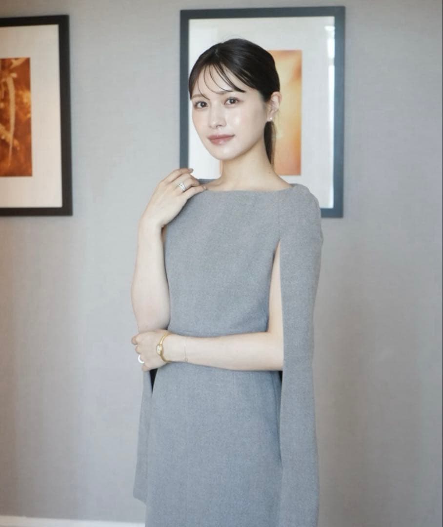 laubeblanc Narrow line Cape Dress Mサイズ