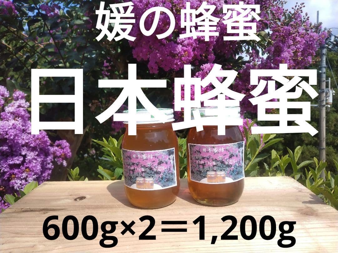 日本蜂蜜、百花蜜、愛媛県産、600g×2＝1.200g