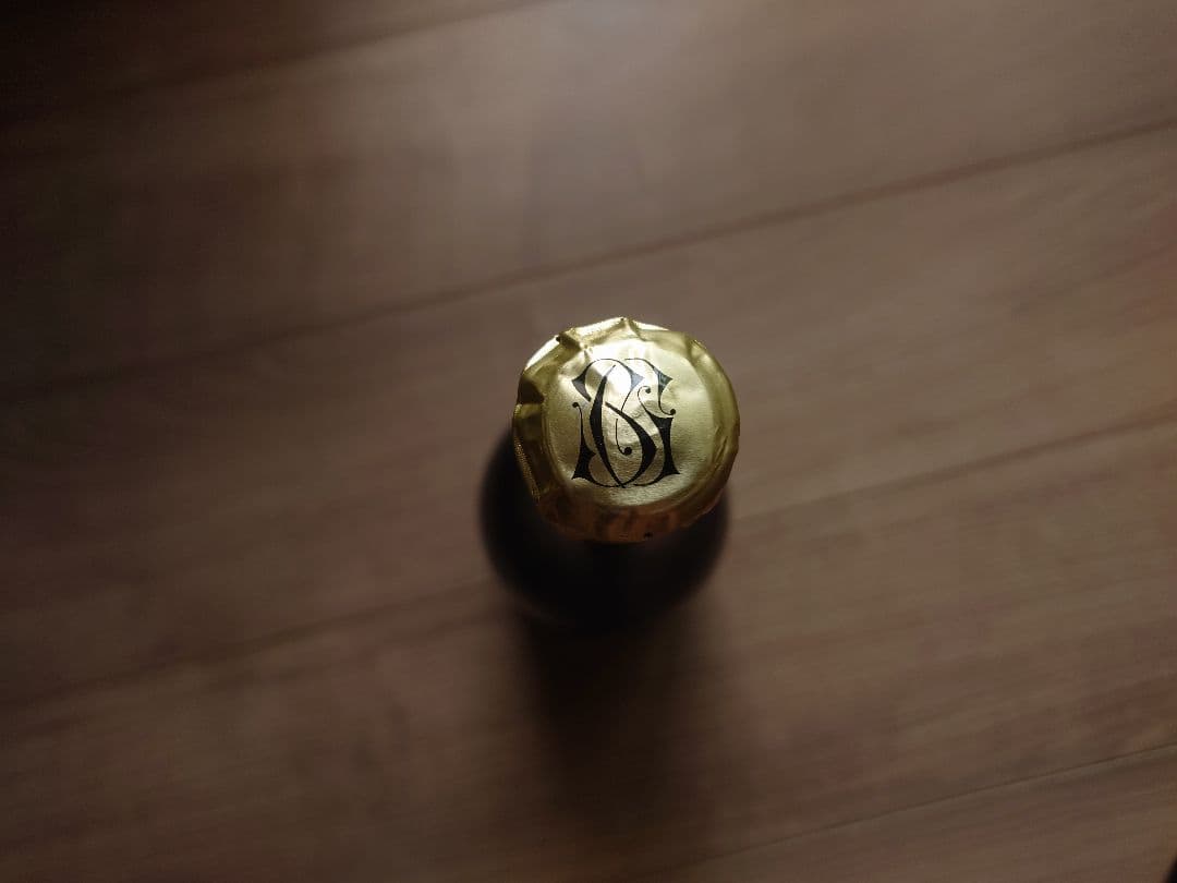 サン・ガール　オルパール　2008