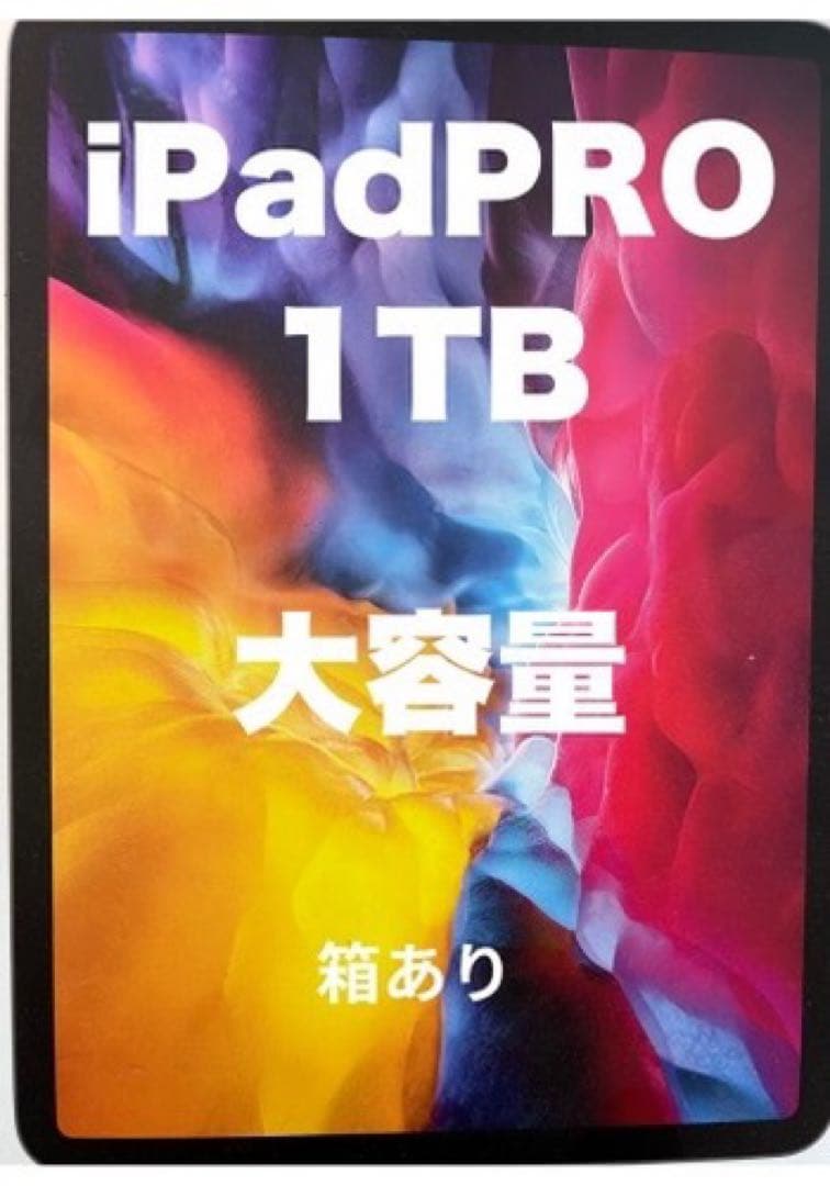 iPad Pro 1TB 大容量 第二世代
