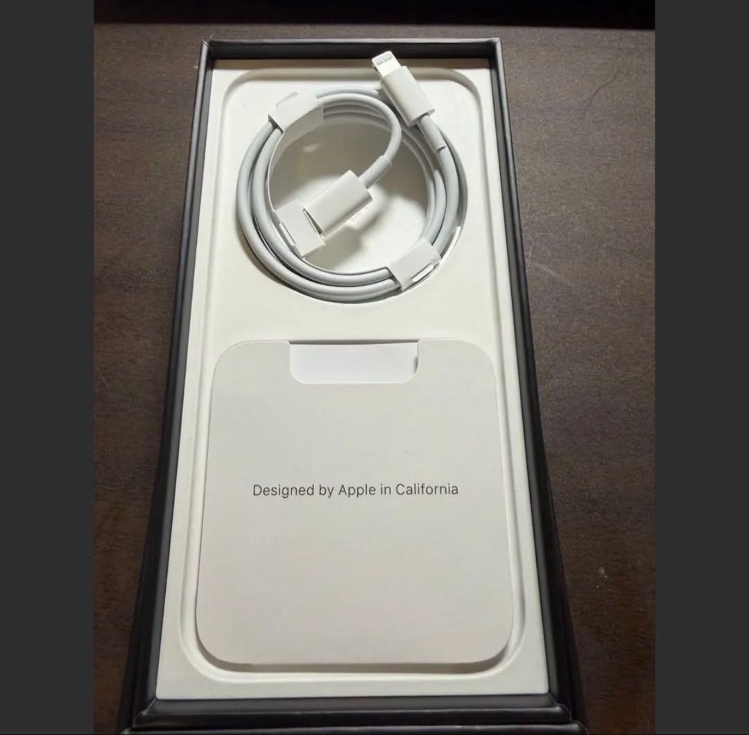 Apple iPhone 13 Pro グラファイト 本体　おまけ付き