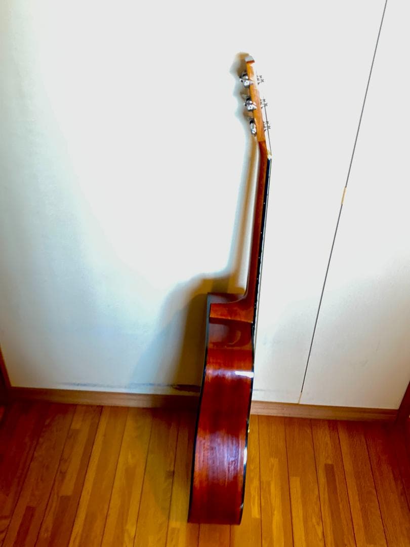 James Havens アコースティックギター