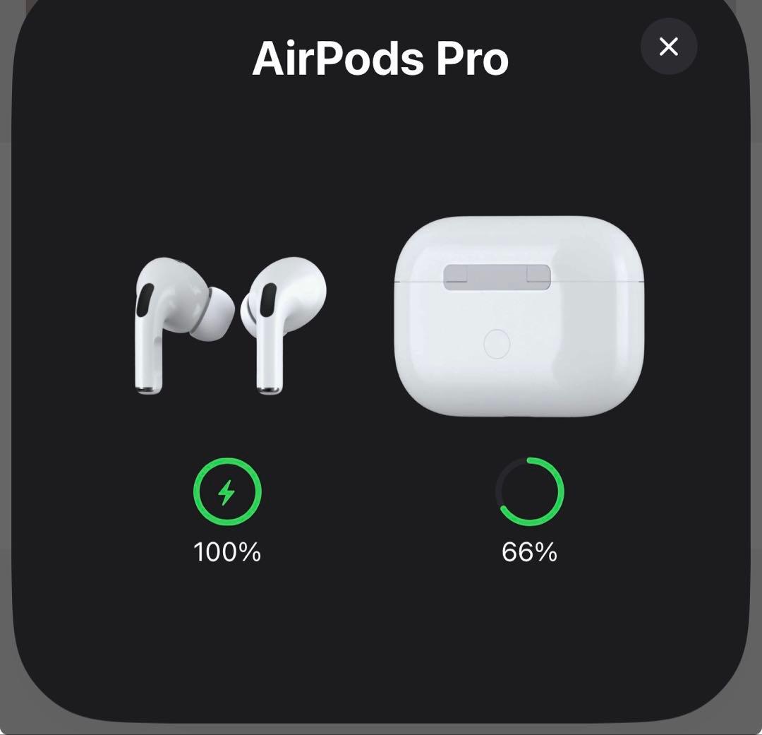 AirPods Pro (第2世代) 本体 + 充電ケーブル