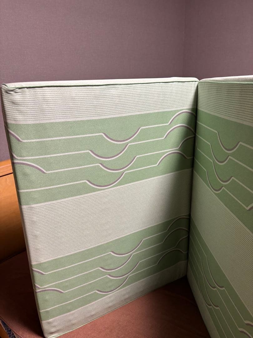 【廃盤レア品】ヘルスウェーブ ゴールド ジュニア