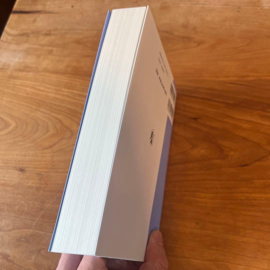 経済刑法 実務と理論