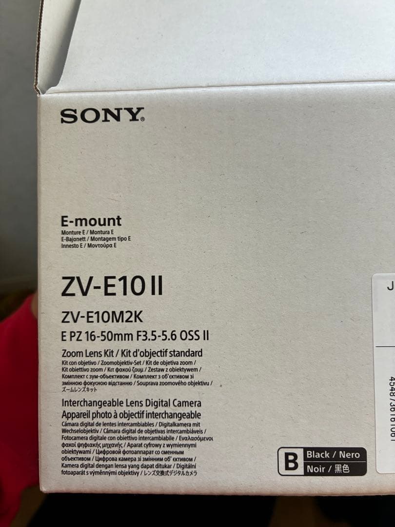 SONY ZVE10 II VLOGセット