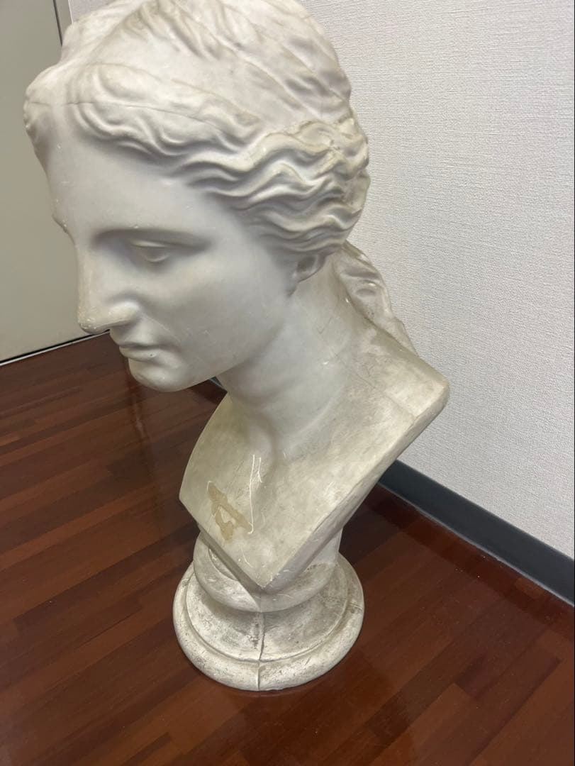 ヴィーナス 石膏像 胸像 顔 美術