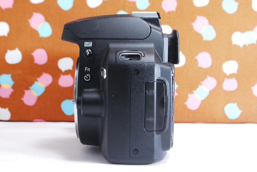 ✨望遠レンズ ✨ショット数2118回✨Nikon D60 レンズセット