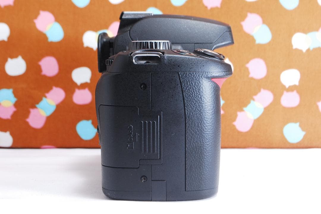 ✨望遠レンズ ✨ショット数2118回✨Nikon D60 レンズセット