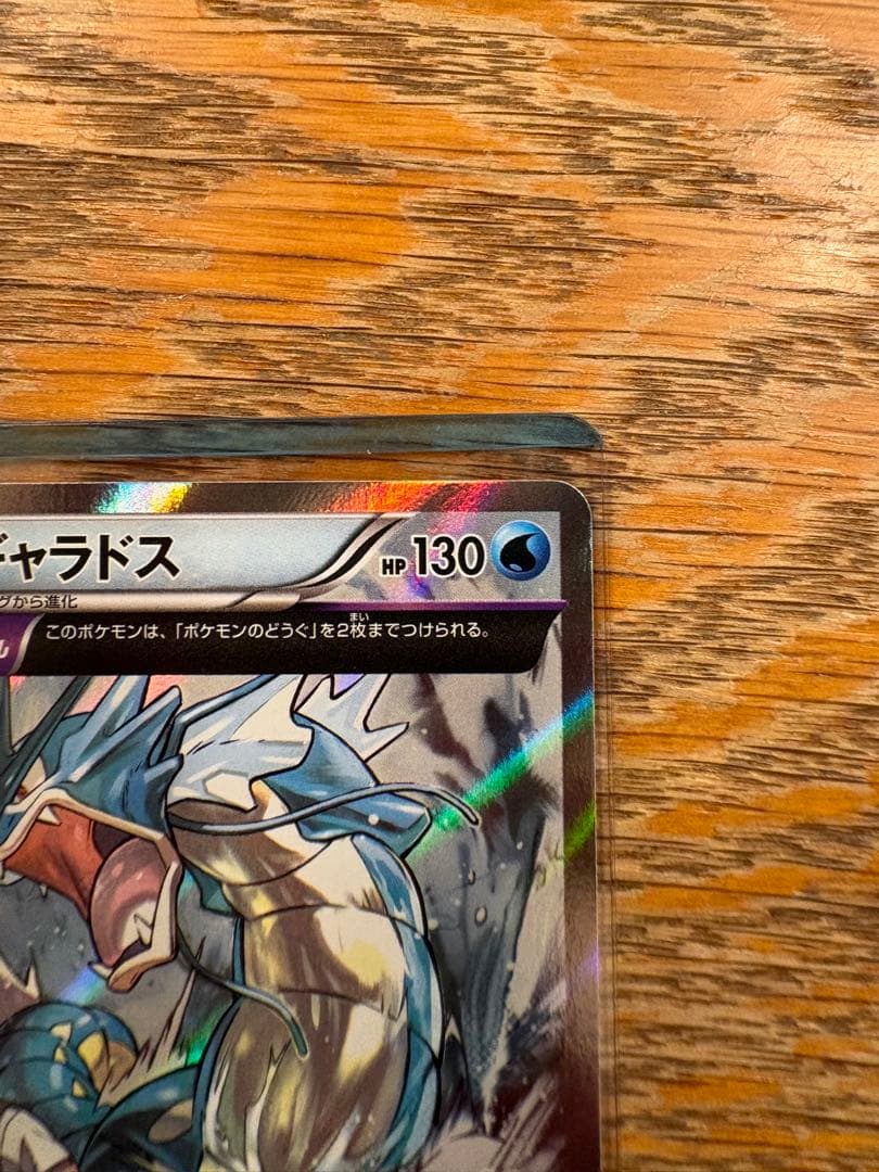 ギャラドス R XY7 1ED