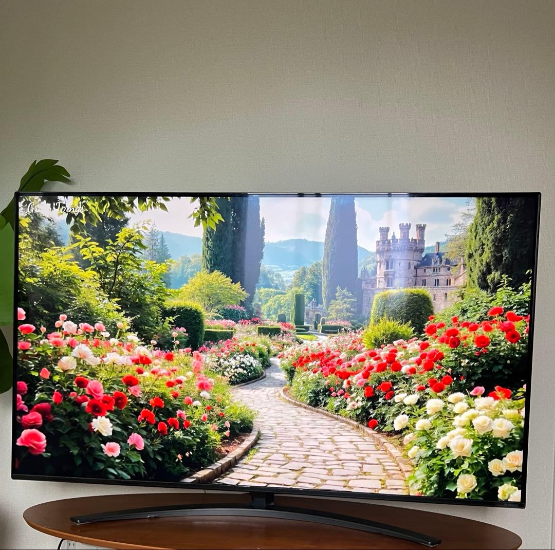 液晶テレビ 55NANO91JNA [55V型 /Bluetooth対応