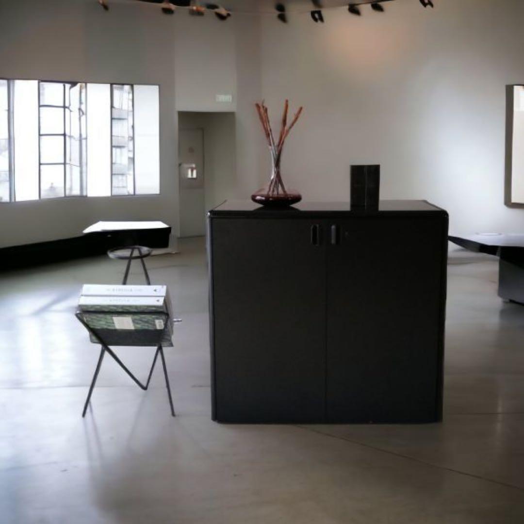 【送料込み】 Storage Cabinet By Mobilia モビリア