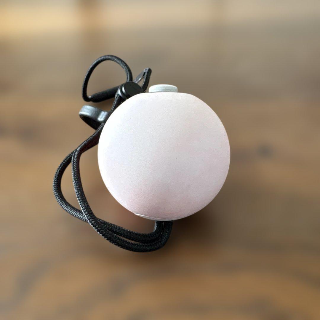 SW モンスターボールPLUS ミュウ入り