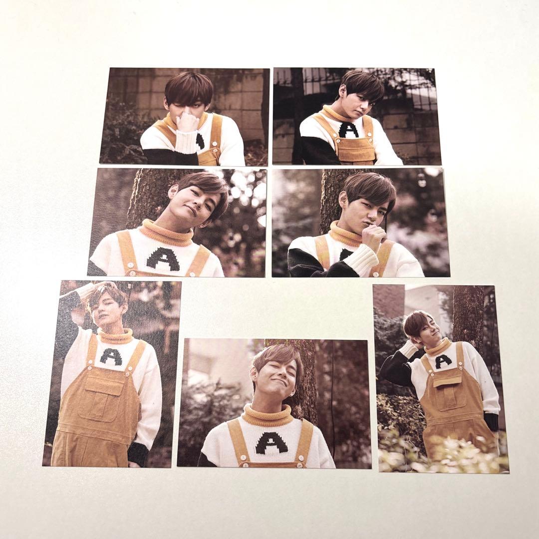 【公式】BTS テヒョン テテ V 2nd muster 22920 ミニフォト