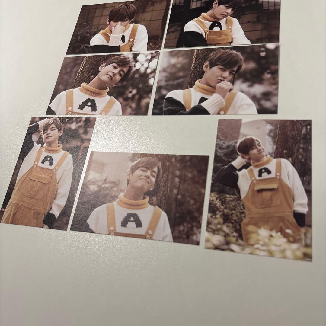 【公式】BTS テヒョン テテ V 2nd muster 22920 ミニフォト