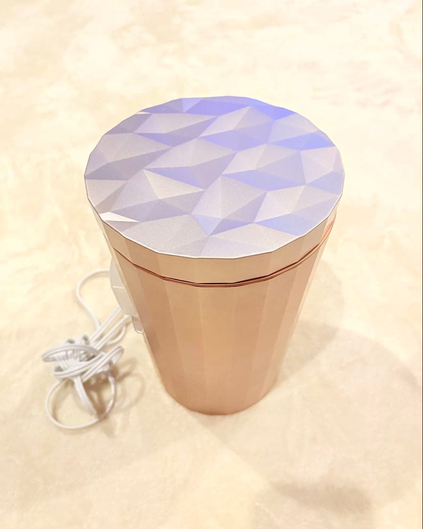 通電◎ YAMAN フォトスチーマー IS-100P 家庭用美顔器