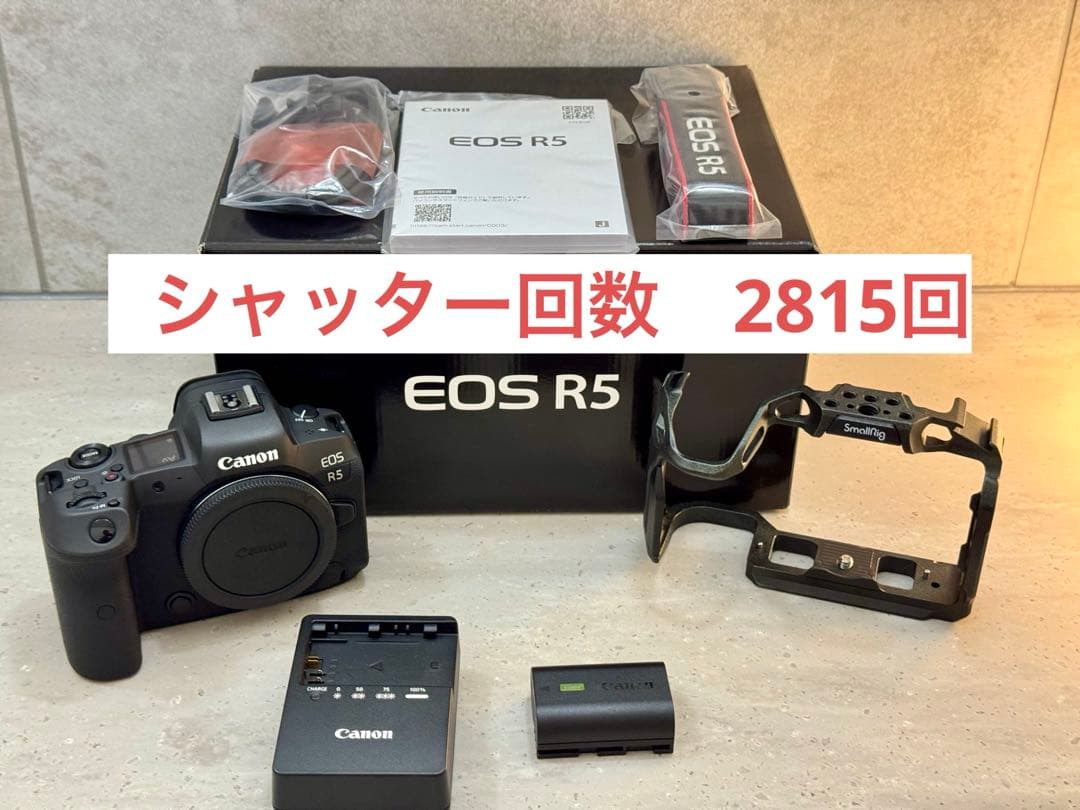 【極美品】Canon EOS R5 本体と付属品 シャッター回数2815回