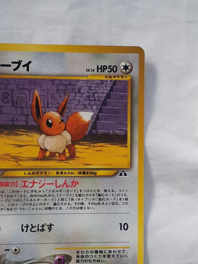 ポケモンカード旧裏 イーブイ、遺跡を越えて 未使用、美品