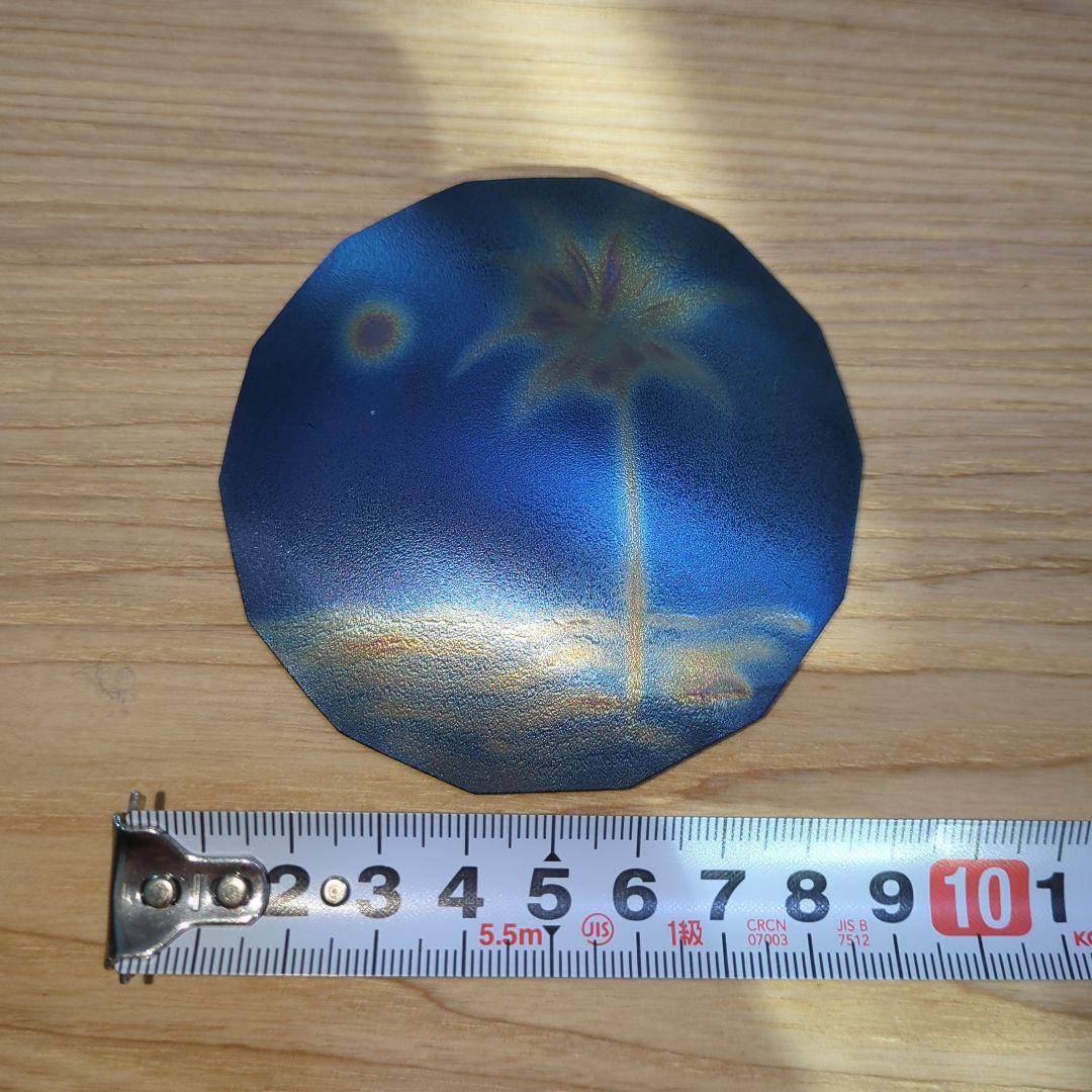 テスラ カートラベル・プレート