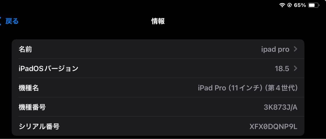iPad Pro (第4世代) 11インチ シルバー 128GB