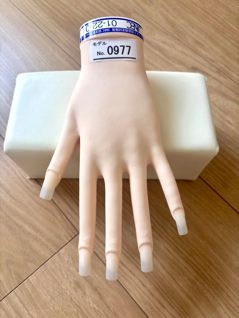 【美品】JNEC認定モデルハンド　1級合格チップ付き