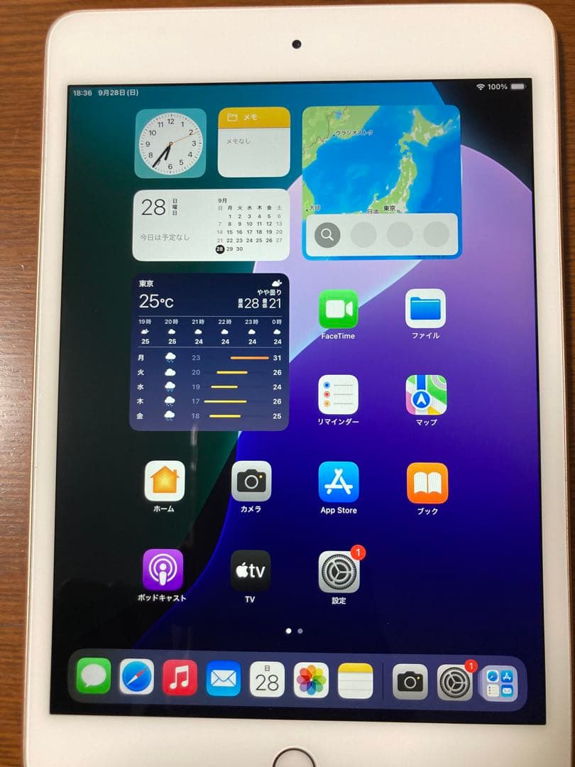 iPad mini第5世代　64GB Wi-Fiタイプ