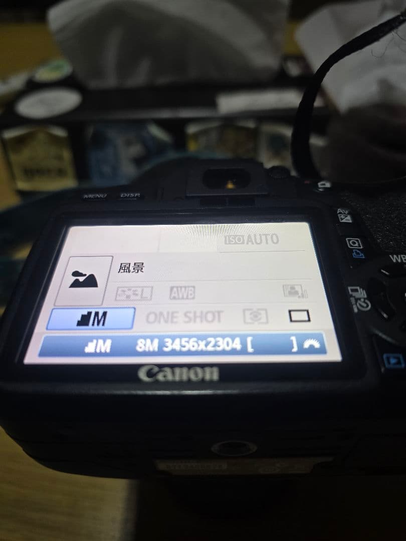 Canon EOS kiss x4 　◇◆オマケ付き◆◇