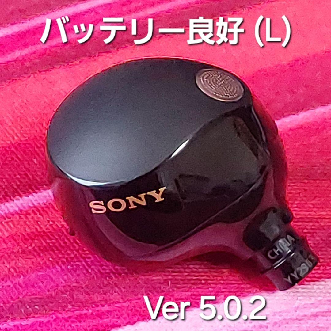 【バッテリー良好】SONY WF-1000XM5 ブラック 左耳