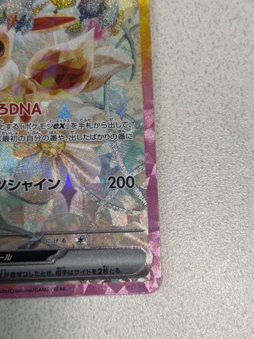 グレイシアex 206/187 SARとイーブイex 223/187セット