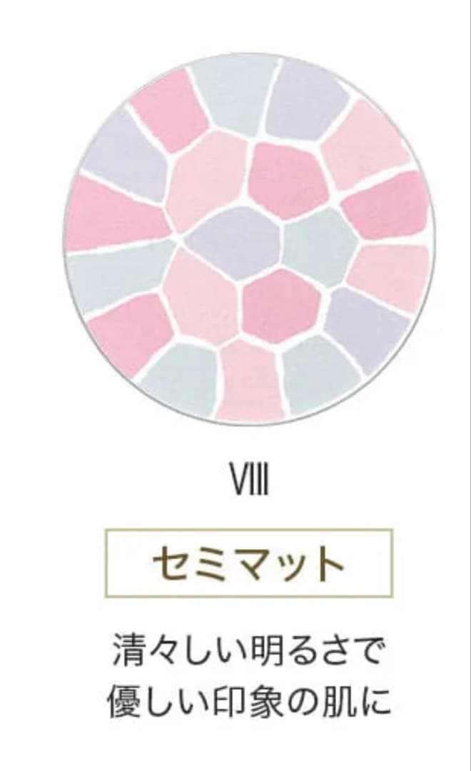 エレガンスラ プードル オートニュアンス リクスィーズⅧ27g 「未使用新品」