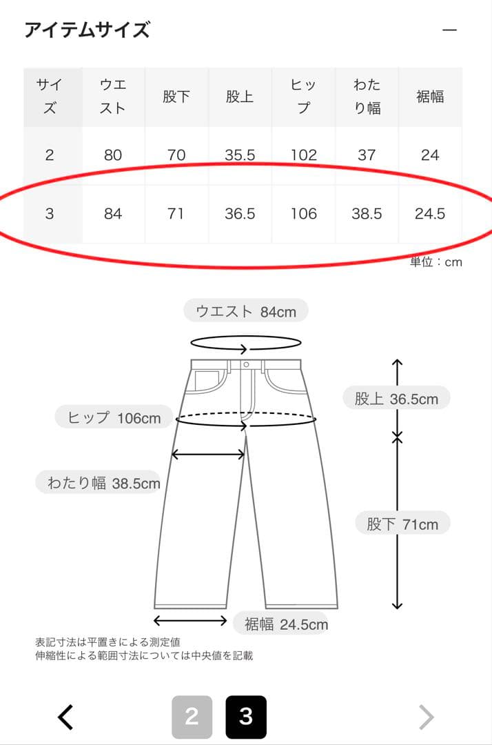 パンツ blurhms Brushed Twill Mechanic Pants