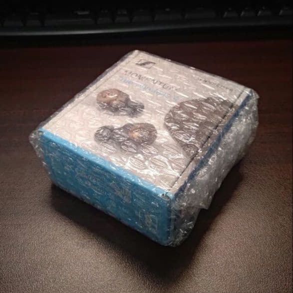 【保証残10カ月】SENNHEISER MOMENTUM TW4 新品未使用