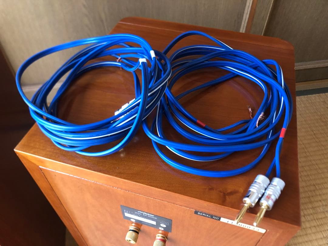 Victor ビクター SX-500DE スピーカー ドルチェ・エテルノ