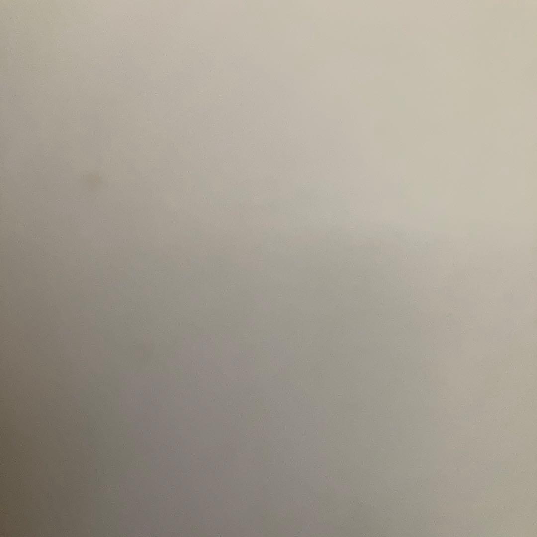 み*か様 値下げ動作可⭐︎業務用 温熱 マット 遠赤外線 エステ 敷パッド