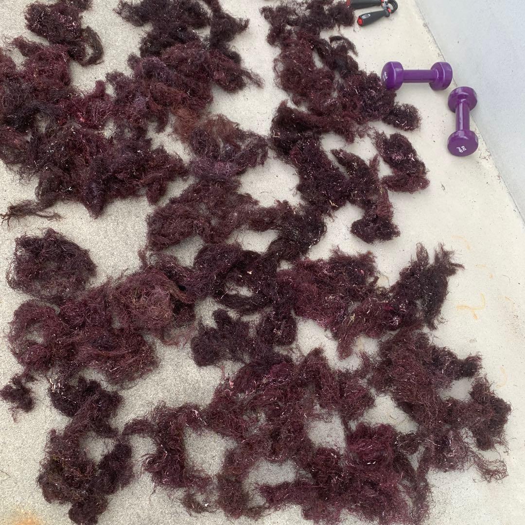 三重県産 乾燥 天草 6キロ アギト