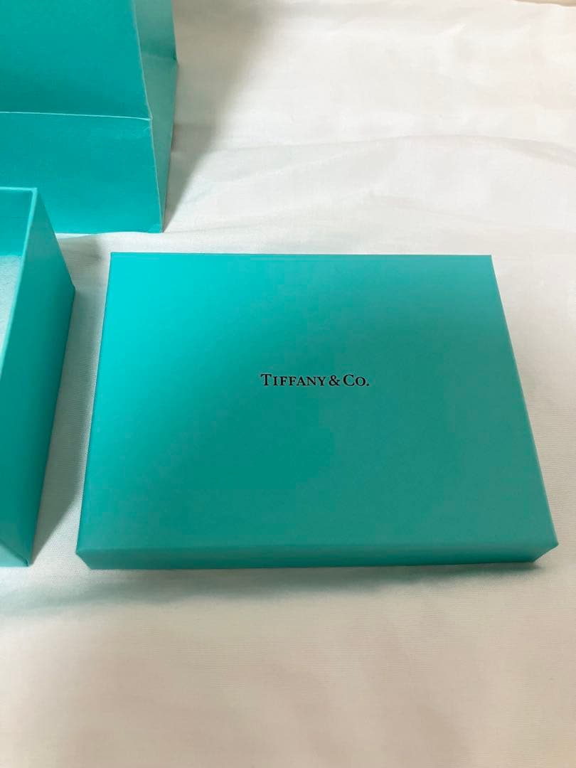 定価28万500円　ティファニー　ボーンカフ　　スモール　左手用