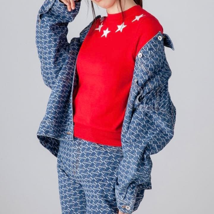 DSC. 　DSジャガードGジャン　original