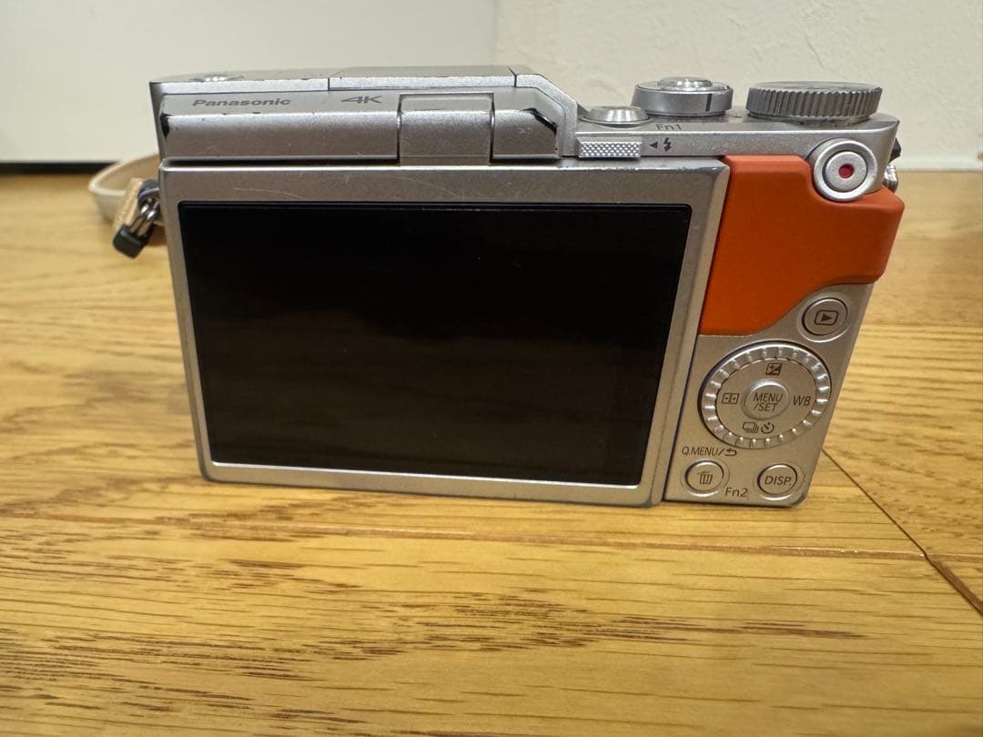 Panasonic LUMIX DC-GF9W ダブルレンズキット　ケース付