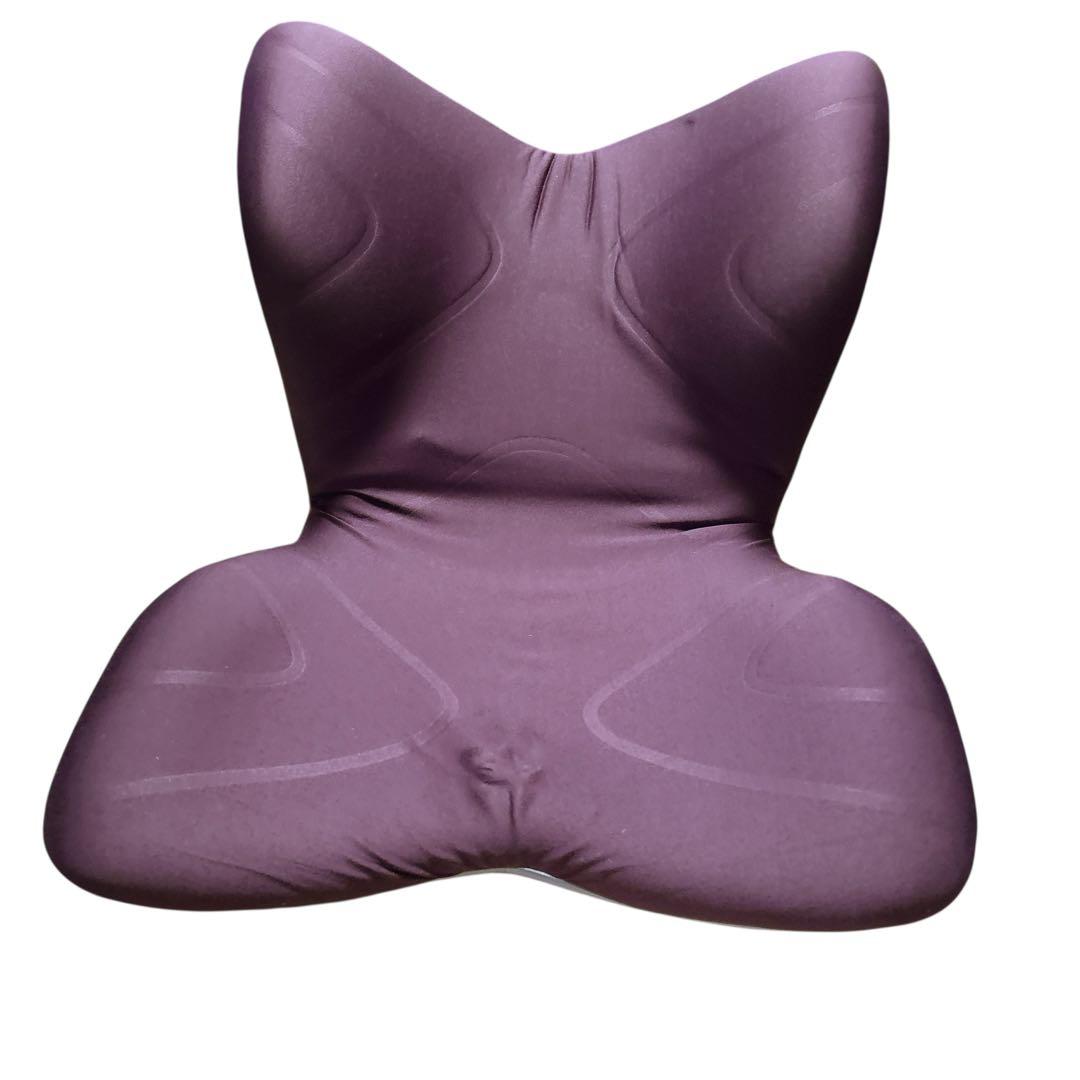 MTG ボディメイクシート Style PREMIUM 姿勢矯正 座椅子 現状品