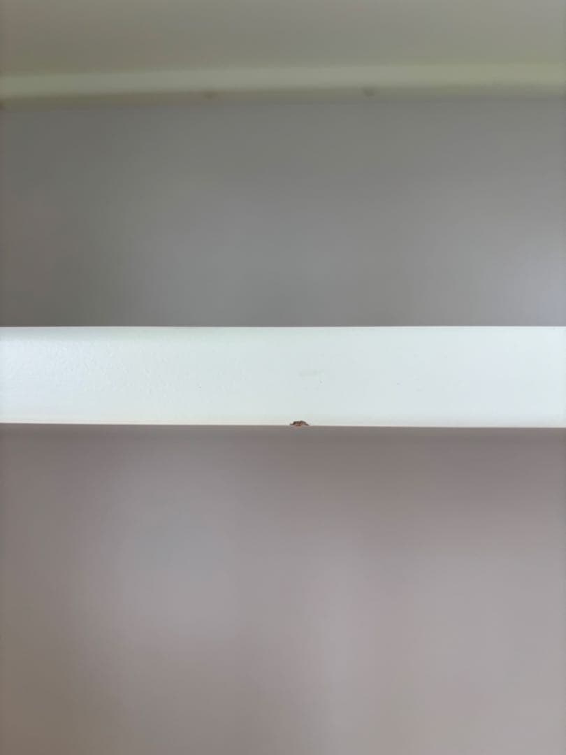 ニトリ　キャビネット　カーシー