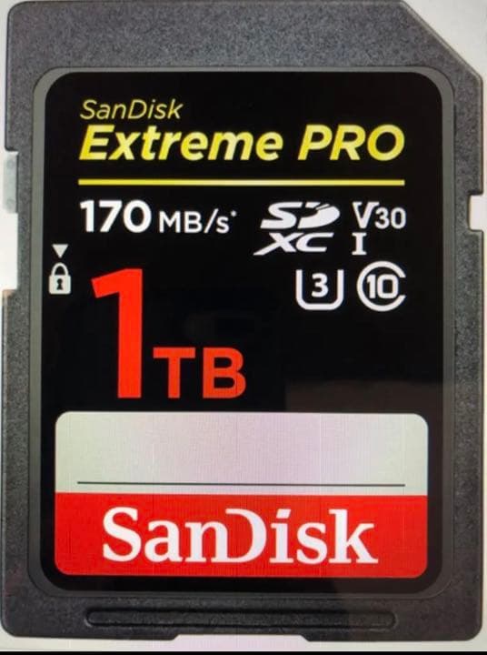 その他 SANDISK SDSDXXY-1T00-JNJIP [1TB]