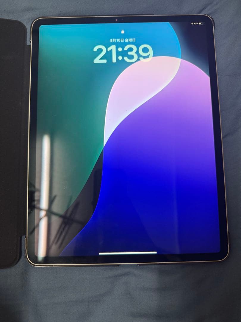 Apple iPad Pro 12.9インチ スペースグレー 本体