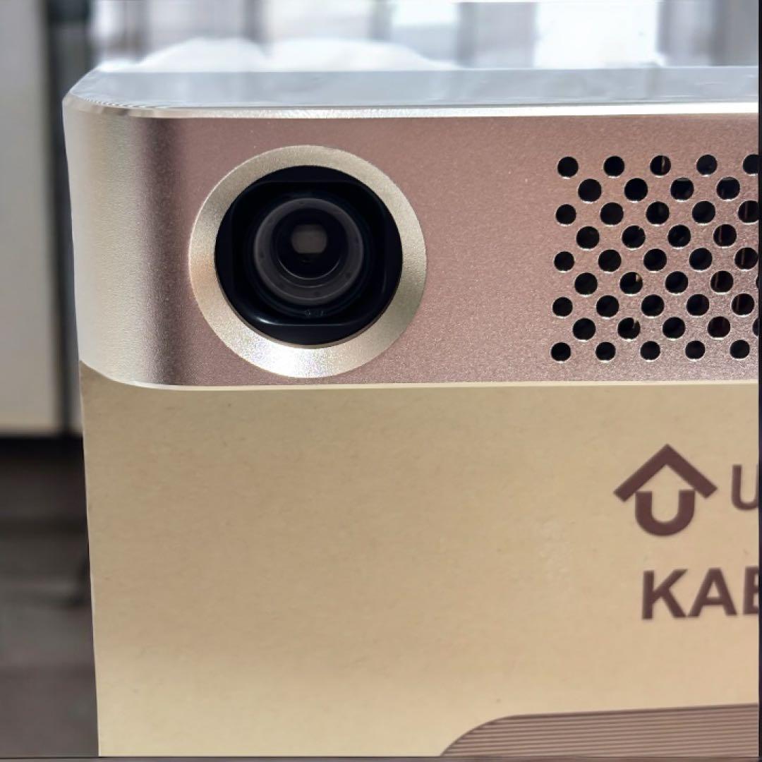 極美品✨◆ 大人気❣️UENO-mono カベーニPro ◆