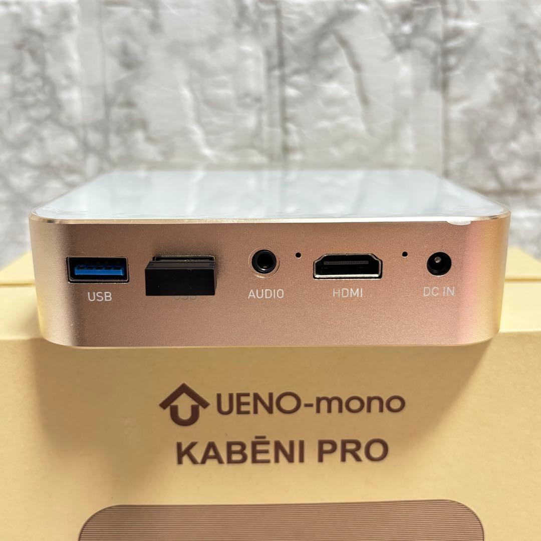 極美品✨◆ 大人気❣️UENO-mono カベーニPro ◆