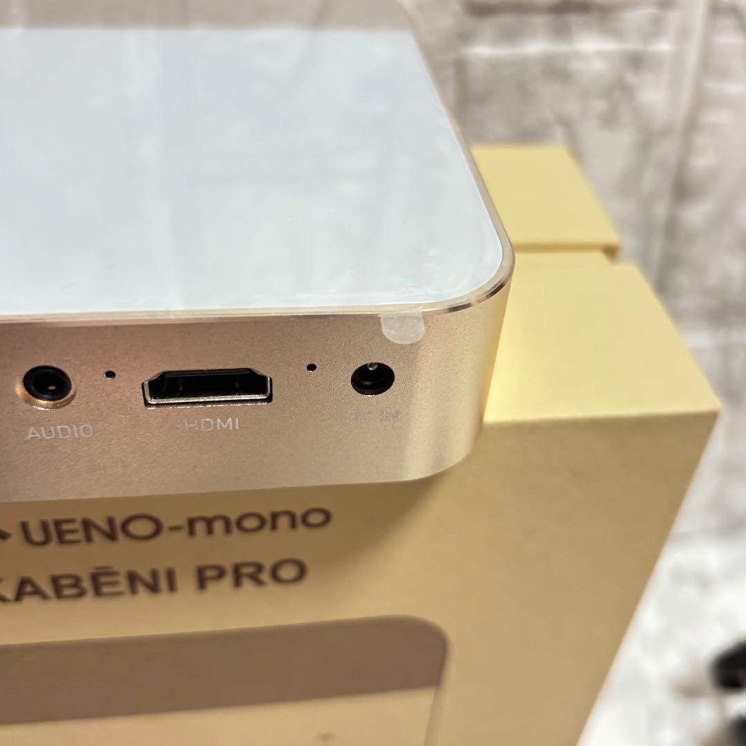 極美品✨◆ 大人気❣️UENO-mono カベーニPro ◆