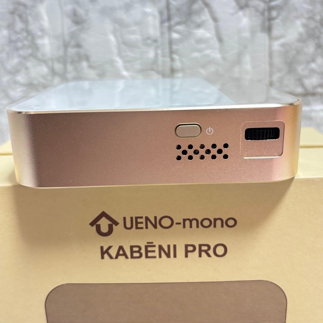 極美品✨◆ 大人気❣️UENO-mono カベーニPro ◆