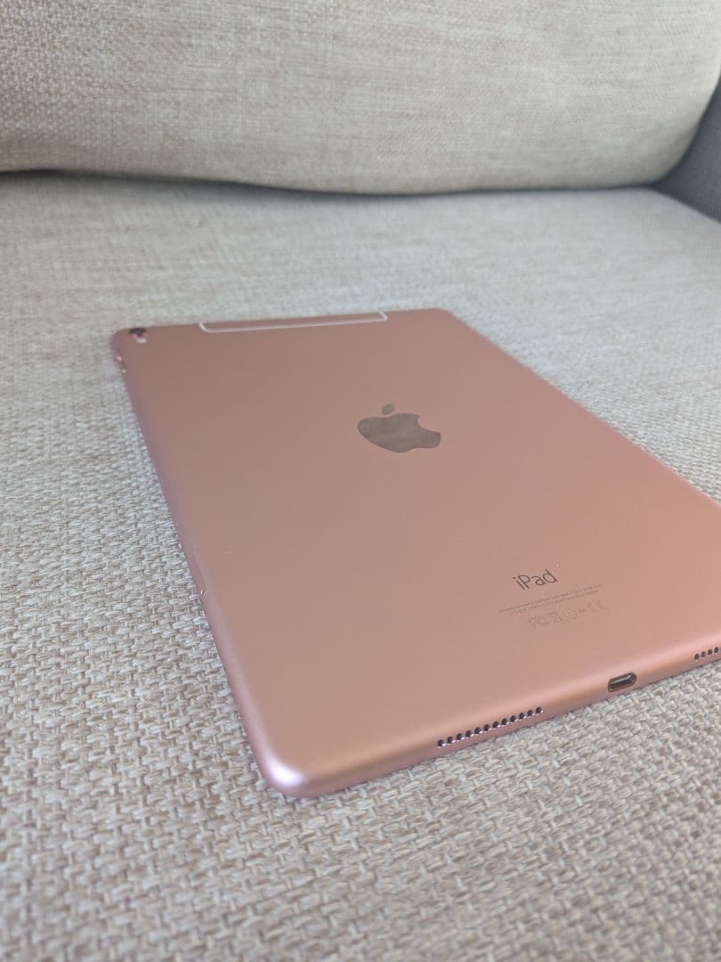 APPLE iPad Pro 9.7 256GB 本体 ケースつき