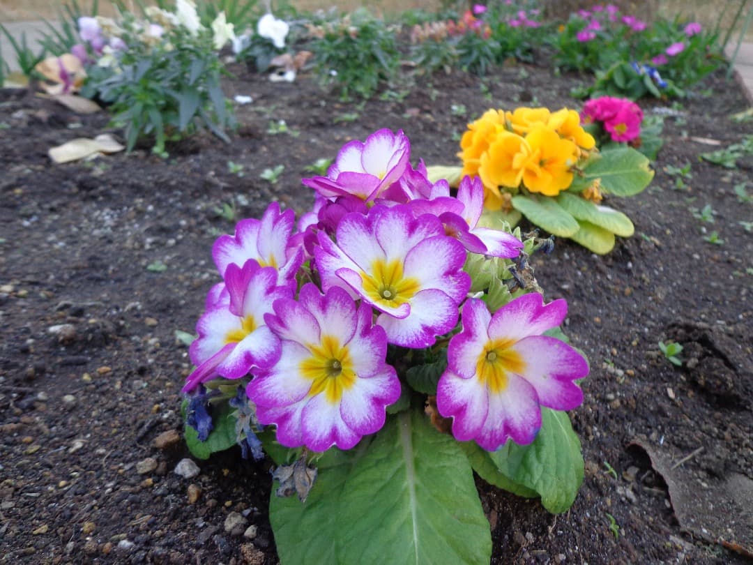 実写良⭕️【動作確認済】SONY Cyber−Shot DSC-W630デジカメ