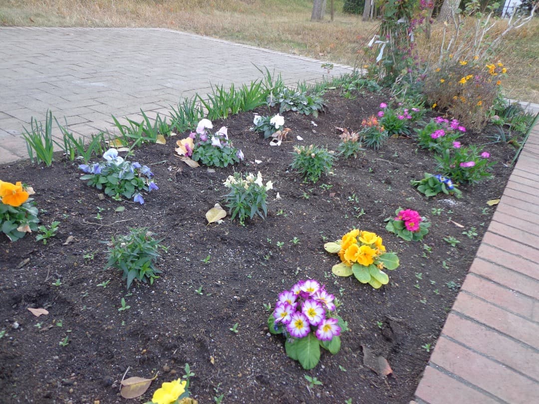 実写良⭕️【動作確認済】SONY Cyber−Shot DSC-W630デジカメ