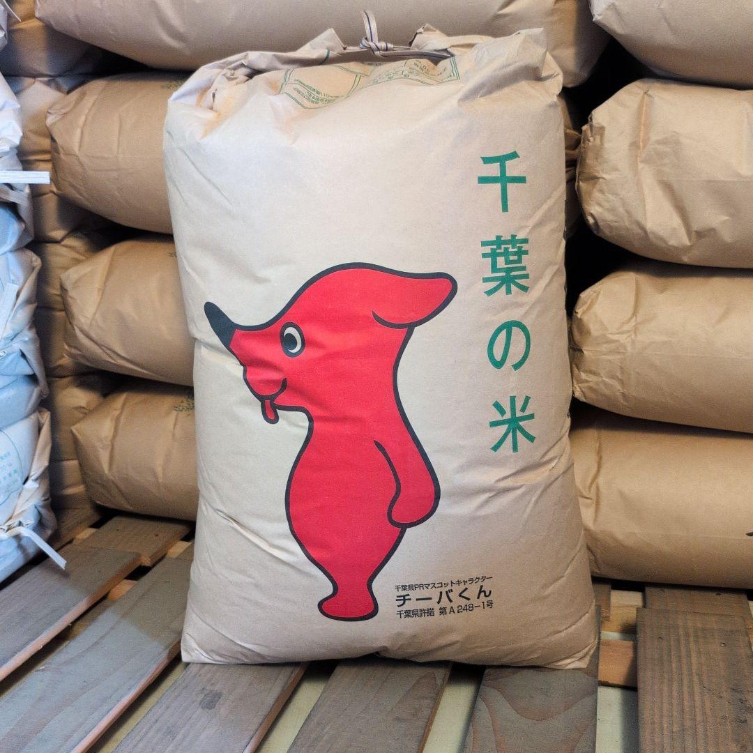 令和7年度 新米 千葉県産 コシヒカリ 玄米 10キロ ※ご希望の方は無料精米